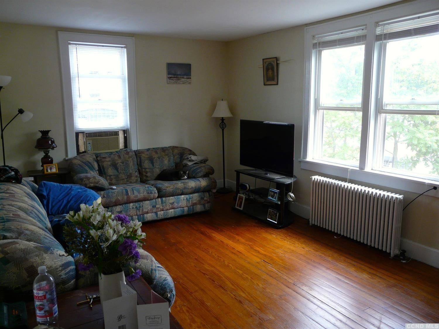 175 Water Street Catskill, NY 12414 - Photo 6 of 10 Apartment 1 large living room.