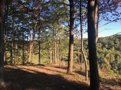 321 Timberwood Trace Monteagle, TN 37356 - Photo 1 of 33