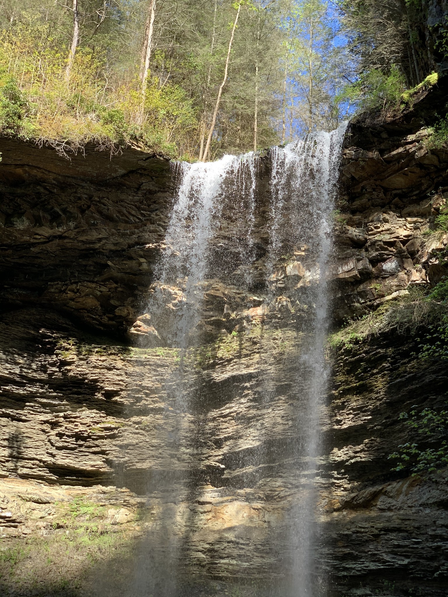 321 Timberwood Trace Monteagle, TN 37356 - Photo 2 of 33