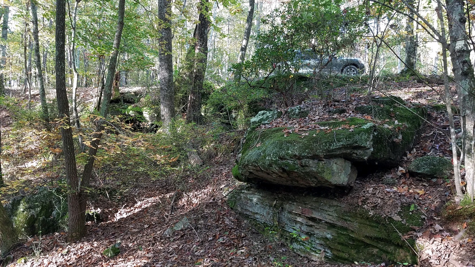 321 Timberwood Trace Monteagle, TN 37356 - Photo 11 of 33