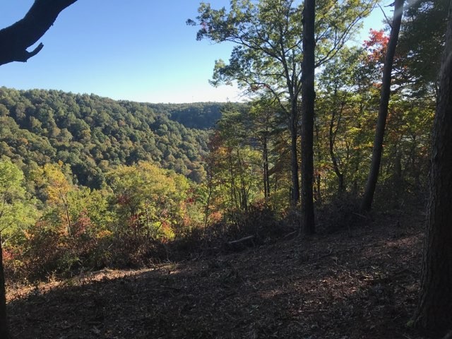 321 Timberwood Trace Monteagle, TN 37356 - Photo 12 of 33