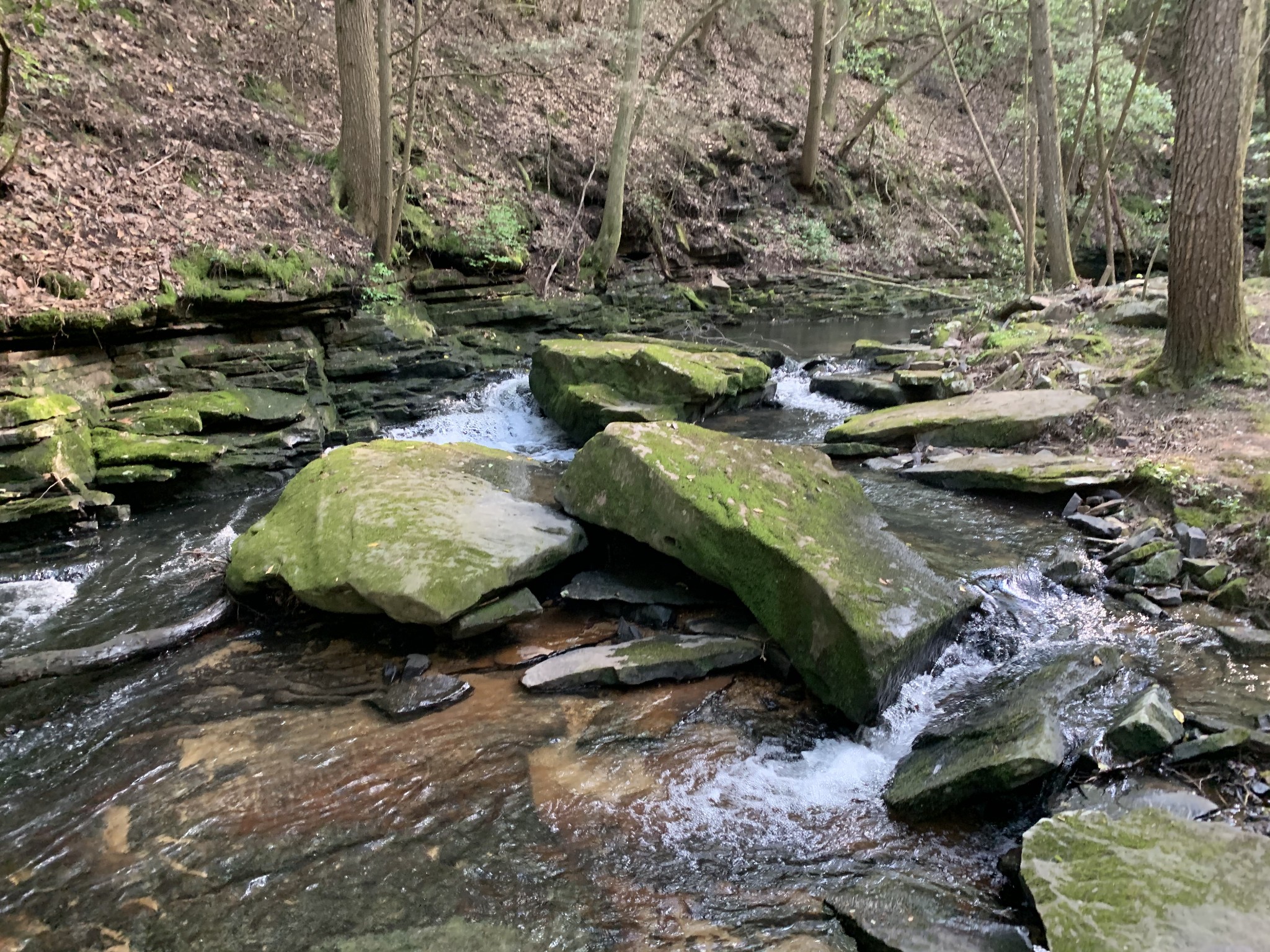 321 Timberwood Trace Monteagle, TN 37356 - Photo 18 of 33