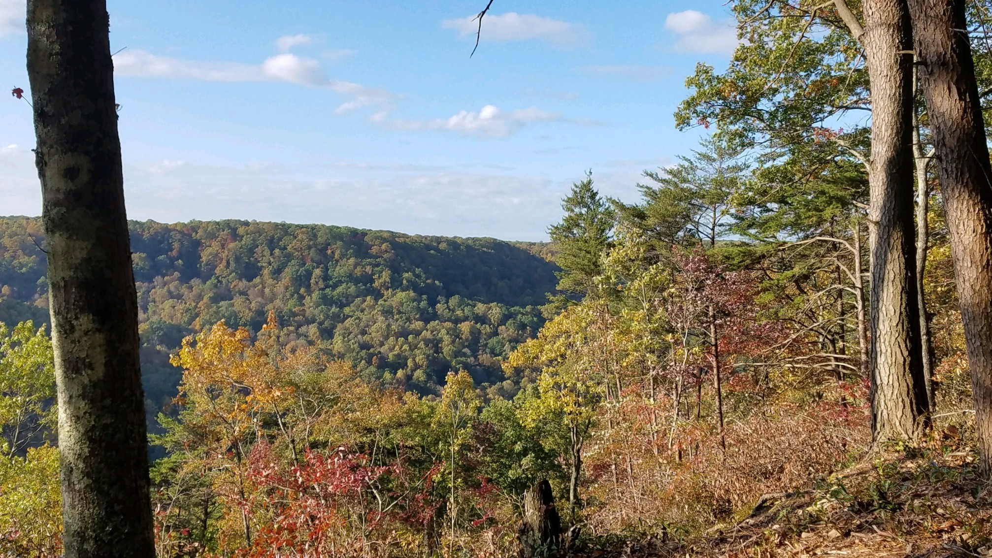 321 Timberwood Trace Monteagle, TN 37356 - Photo 19 of 33