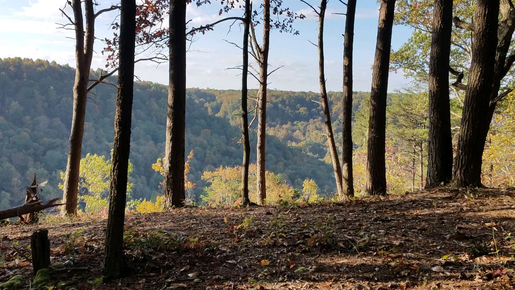 321 Timberwood Trace Monteagle, TN 37356 - Photo 20 of 33