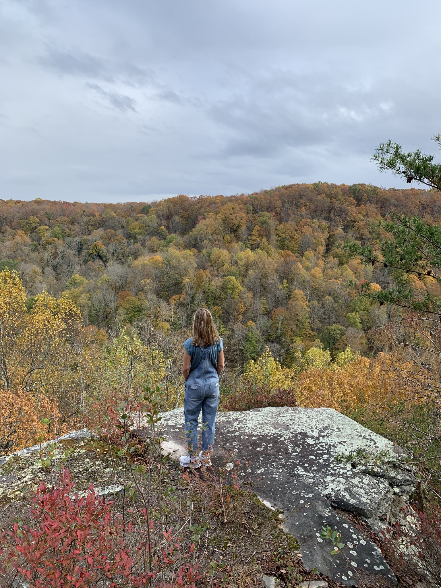 321 Timberwood Trace Monteagle, TN 37356 - Photo 23 of 33