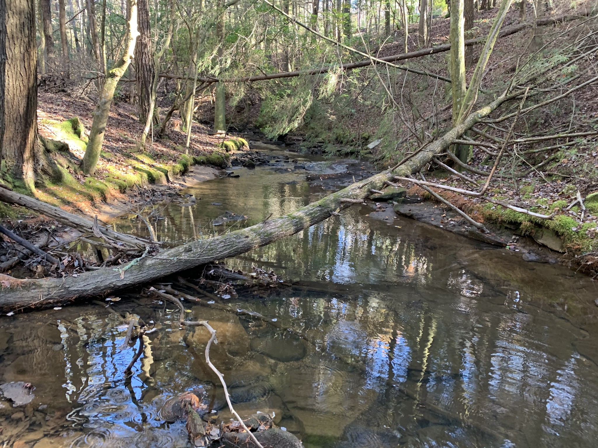 321 Timberwood Trace Monteagle, TN 37356 - Photo 24 of 33