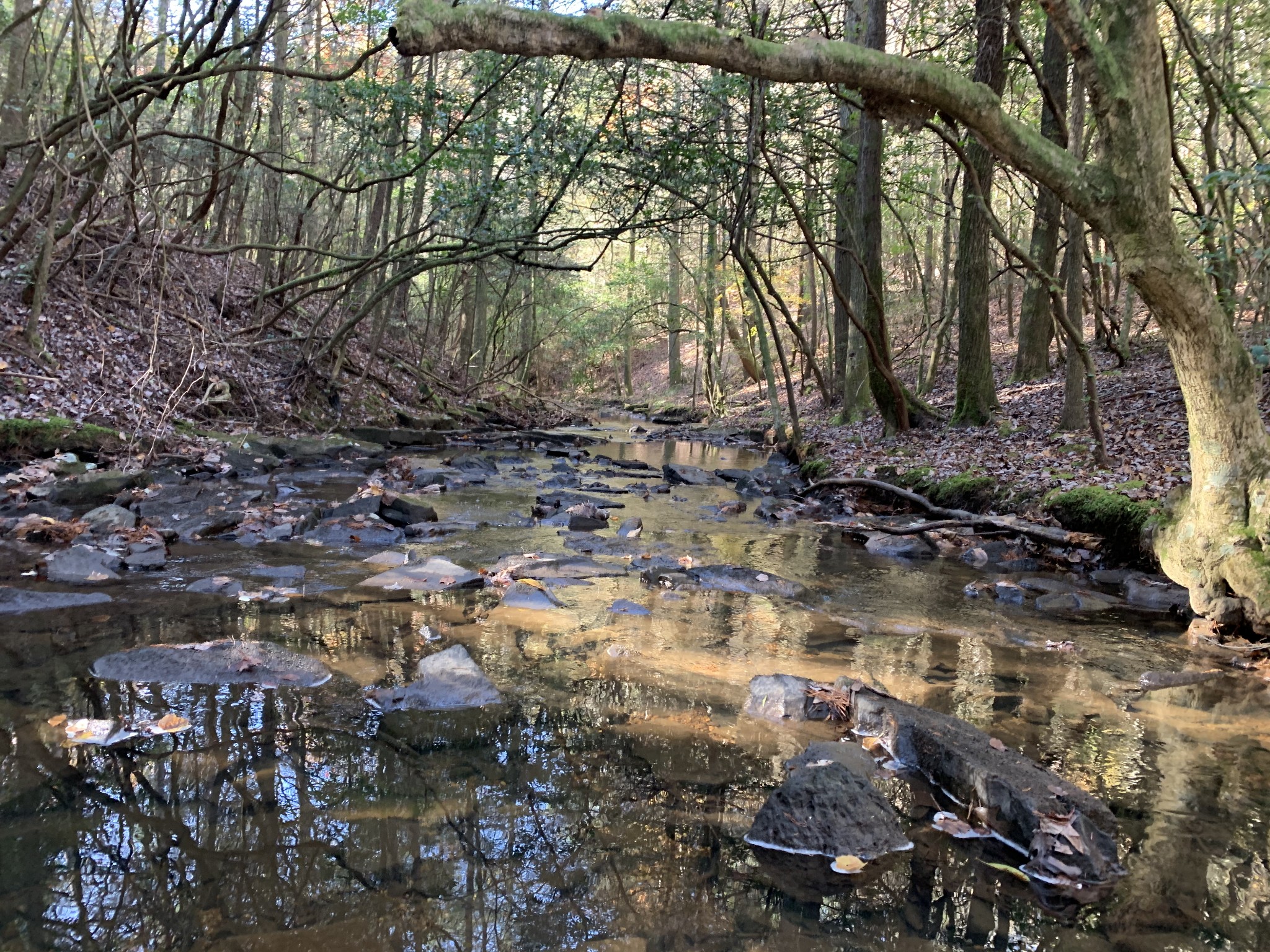 321 Timberwood Trace Monteagle, TN 37356 - Photo 25 of 33