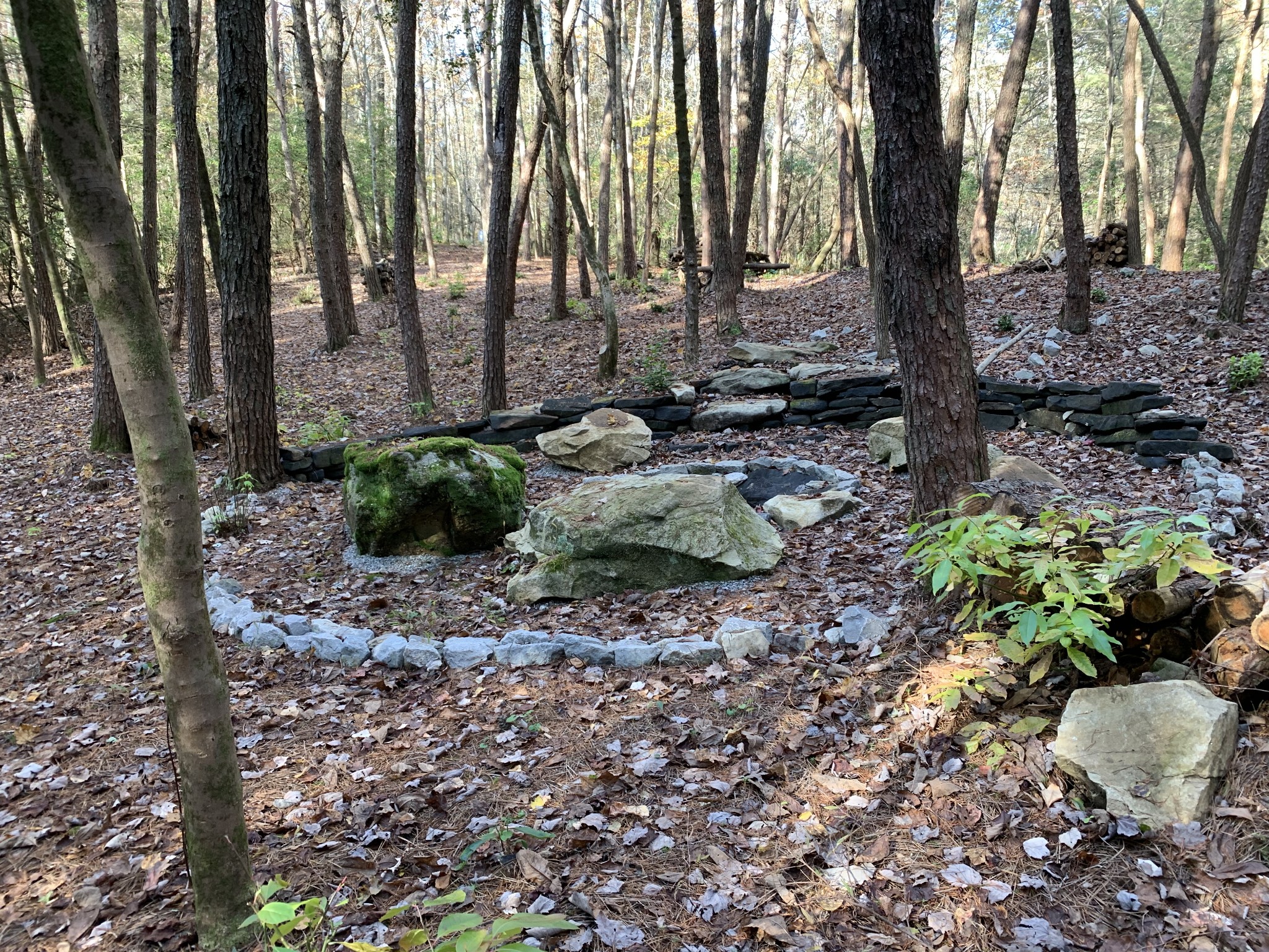 321 Timberwood Trace Monteagle, TN 37356 - Photo 26 of 33