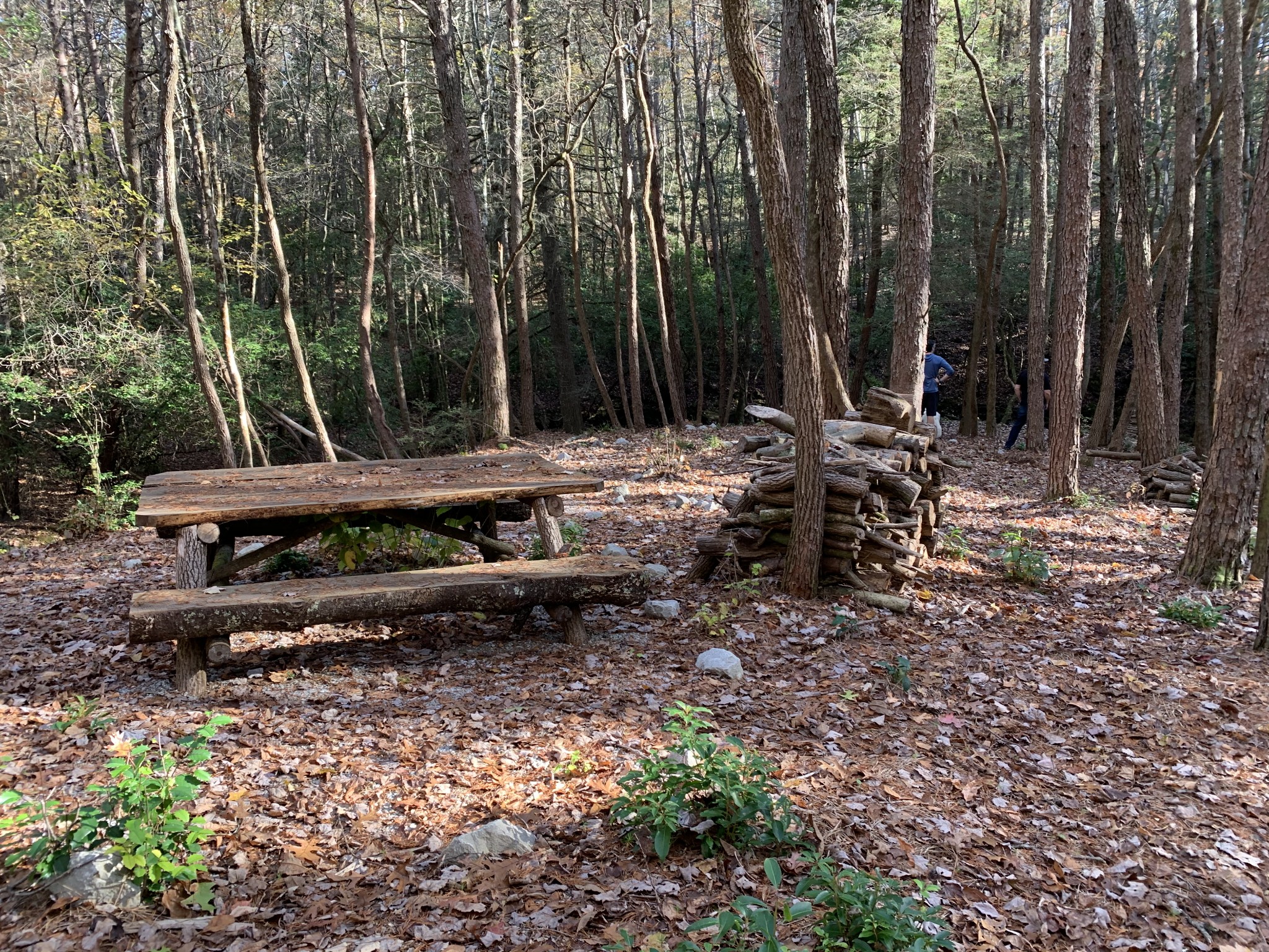 321 Timberwood Trace Monteagle, TN 37356 - Photo 28 of 33