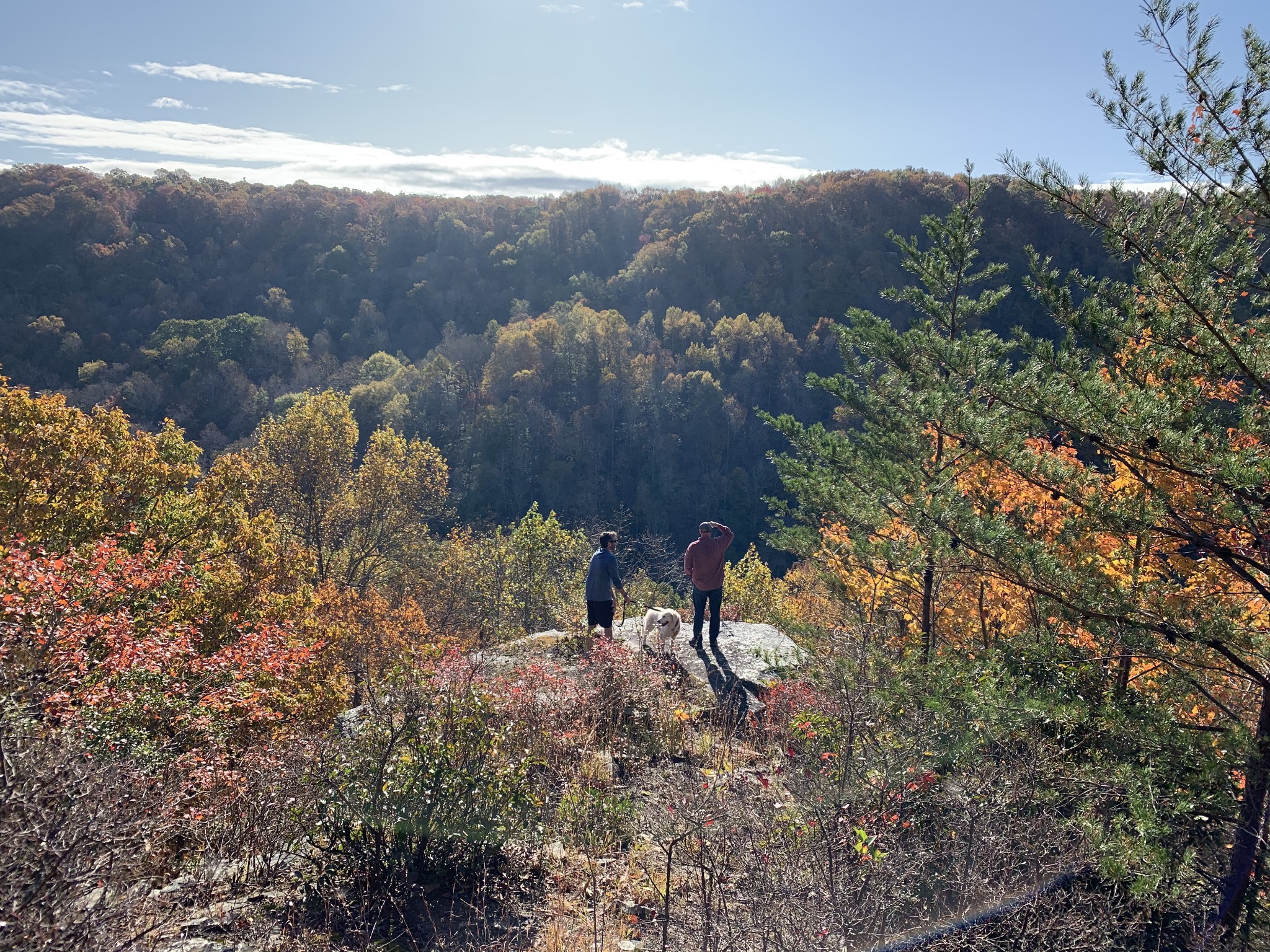 321 Timberwood Trace Monteagle, TN 37356 - Photo 31 of 33