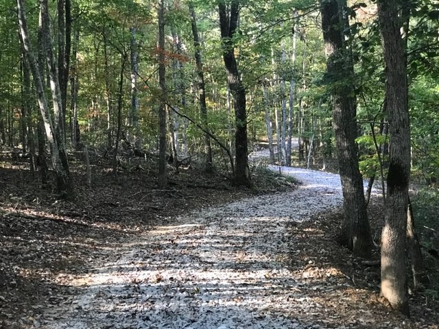 321 Timberwood Trace Monteagle, TN 37356 - Photo 7 of 33