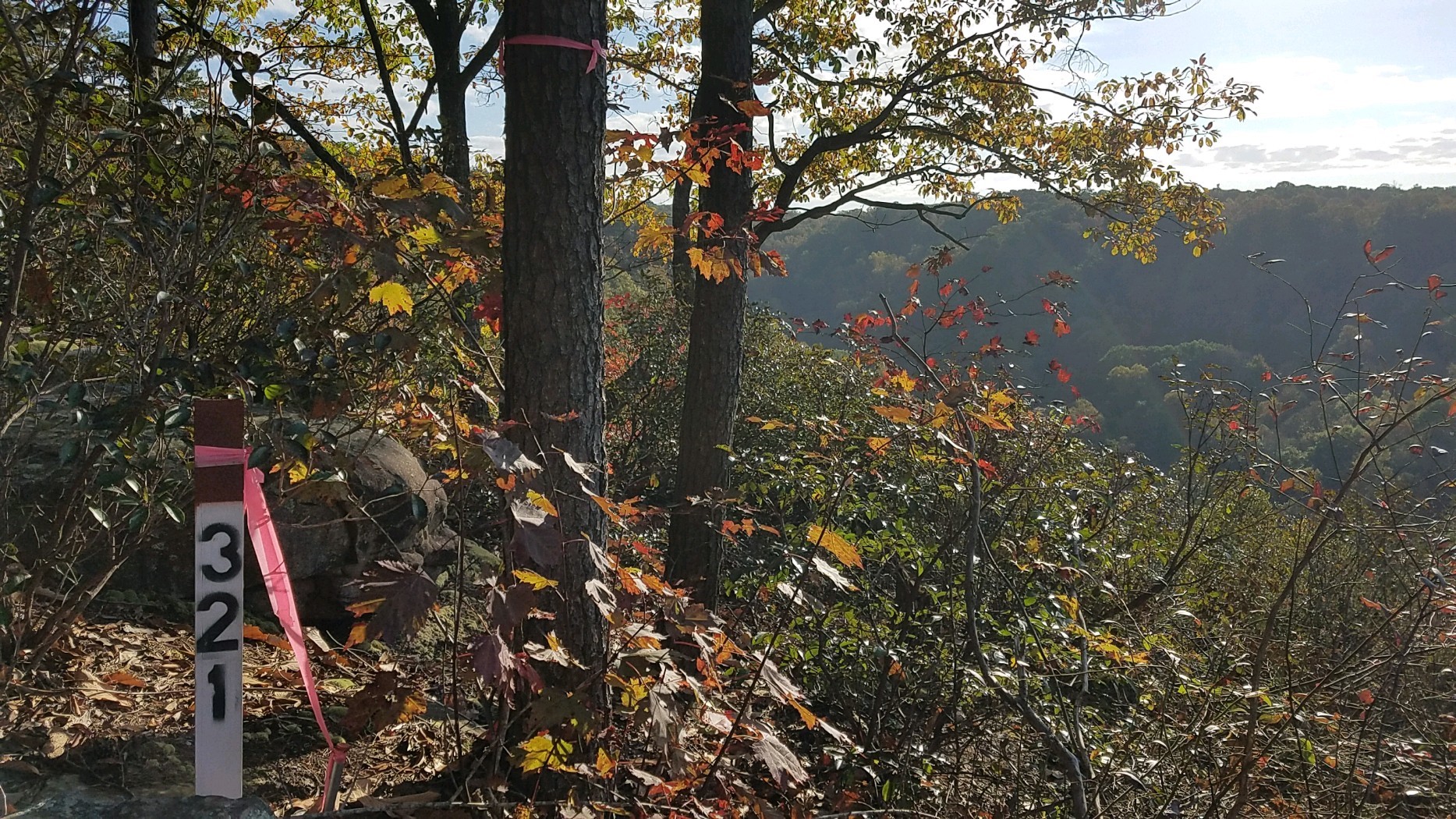 321 Timberwood Trace Monteagle, TN 37356 - Photo 8 of 33