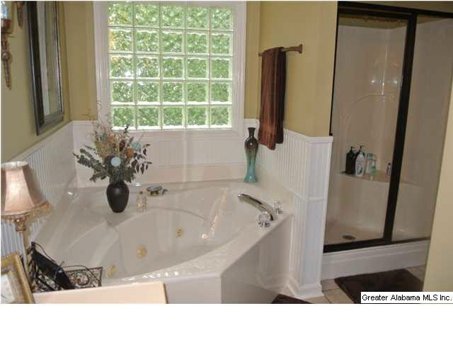 7518 Aspen Ridge Drive Pinson, AL 35126 - Photo 10 of 32