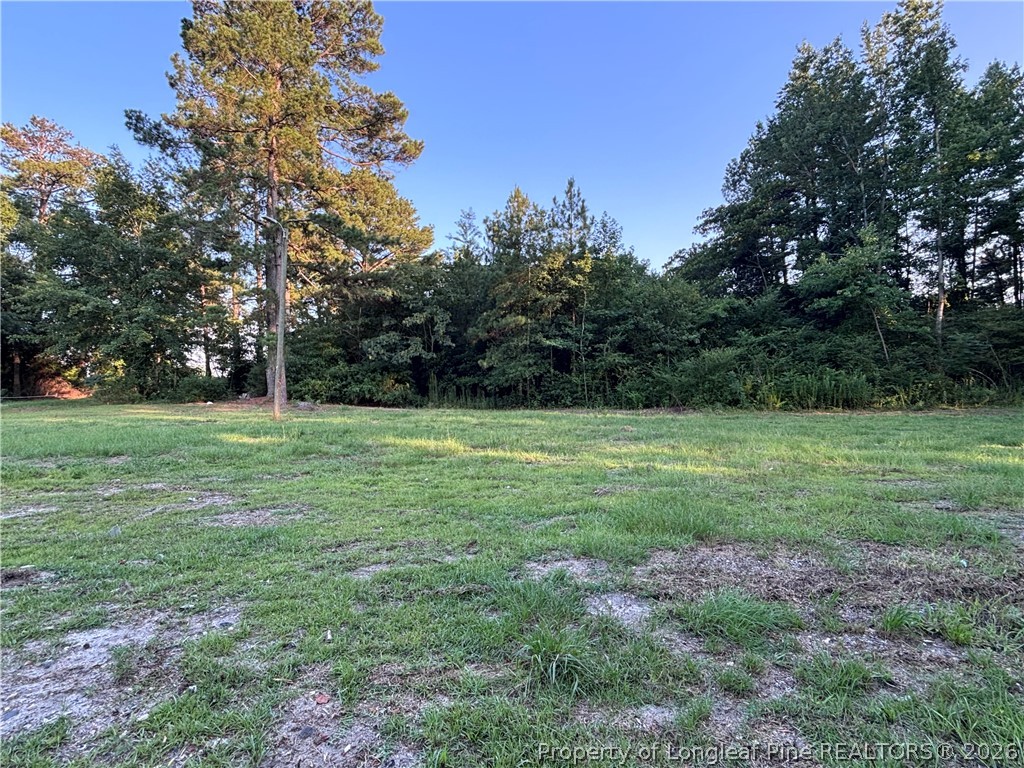 595 Shaw Road St. Pauls, NC 28384 - Photo 18 of 29