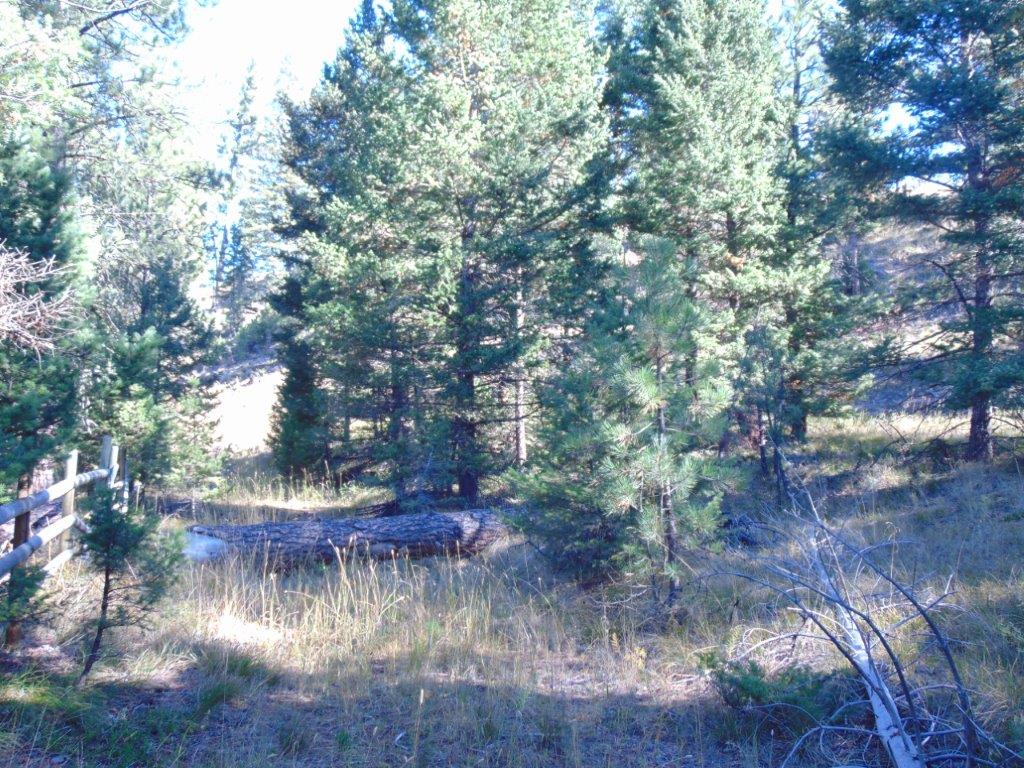 8872 Elk Trail Loop Lincoln, MT 59639 - Photo 85 of 99 Gallery Image 85