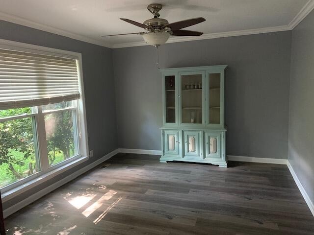5812 Ridgewood Road Knoxville, TN 37918 - Photo 4 of 19 Gallery Image 4
