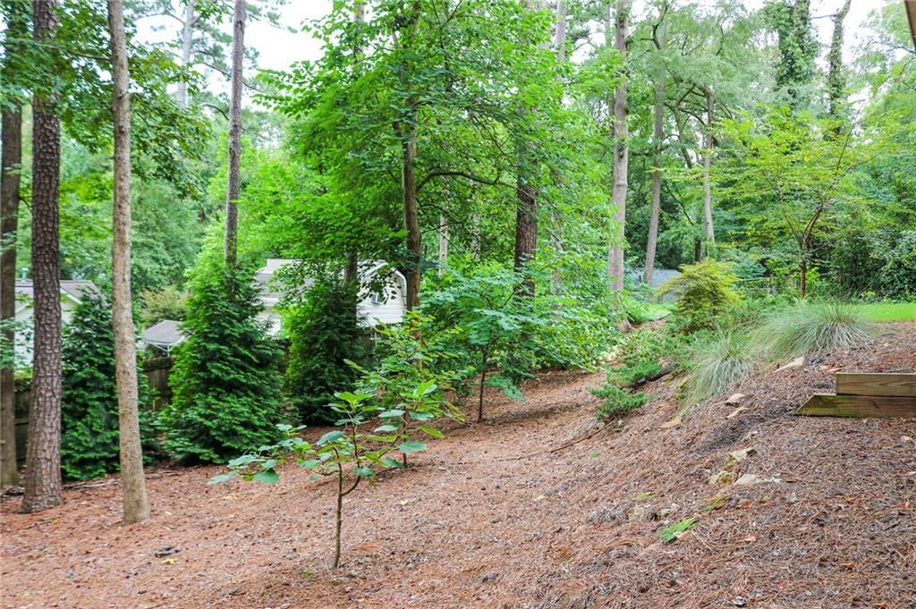 2305 Vistamont Drive Decatur, GA 30033 - Photo 25 of 28 a view of a garden with trees
