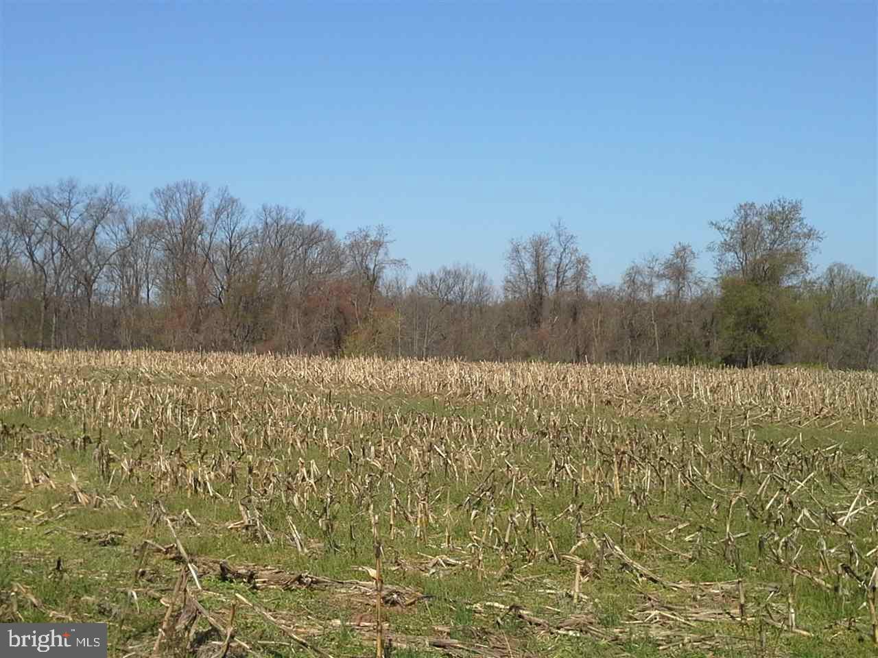 Lot 2 Whisler Road Etters, PA 17319 - Photo 1 of 5 Gallery Image 1
