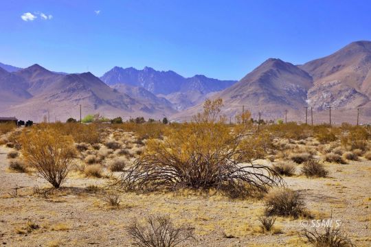 Brown Road Inyokern, CA 93527 - Photo 9 of 11