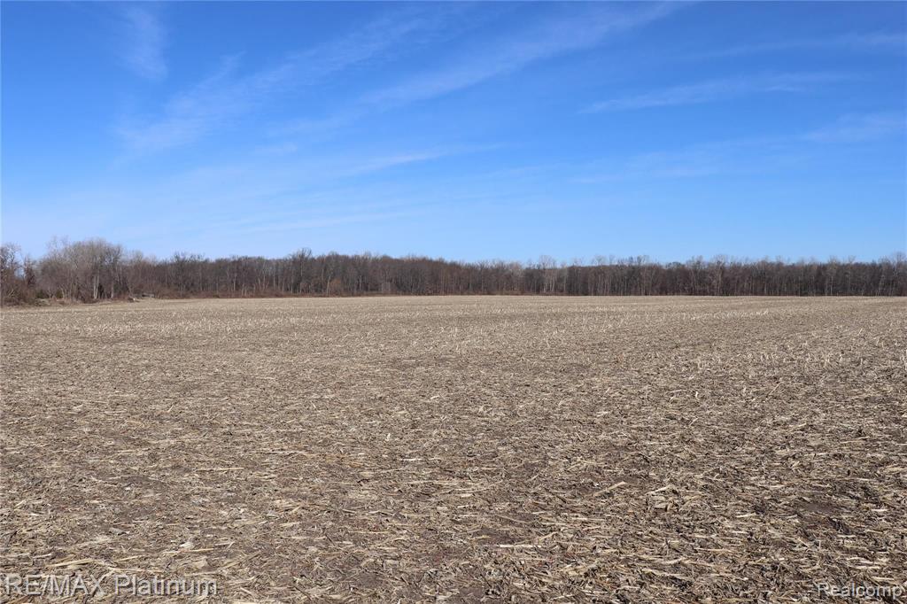1 Willow Road Milan, MI 48160 - Photo 5 of 5