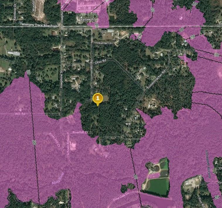 72011 Mill Road Abita Springs, LA 70420 - Photo 3 of 5 Gallery Image 3