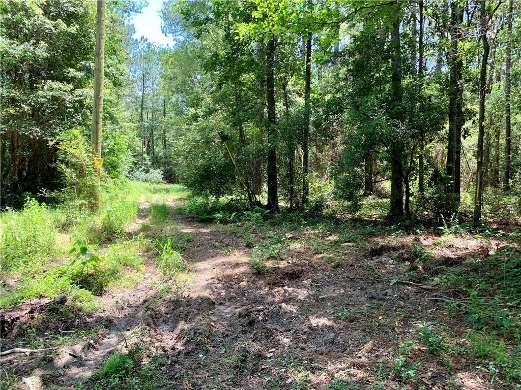 72011 Mill Road Abita Springs, LA 70420 - Photo 5 of 5 Gallery Image 5