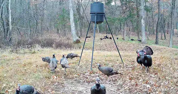 $550,000 | 11473 Highway Ah, Plato, MO 65552