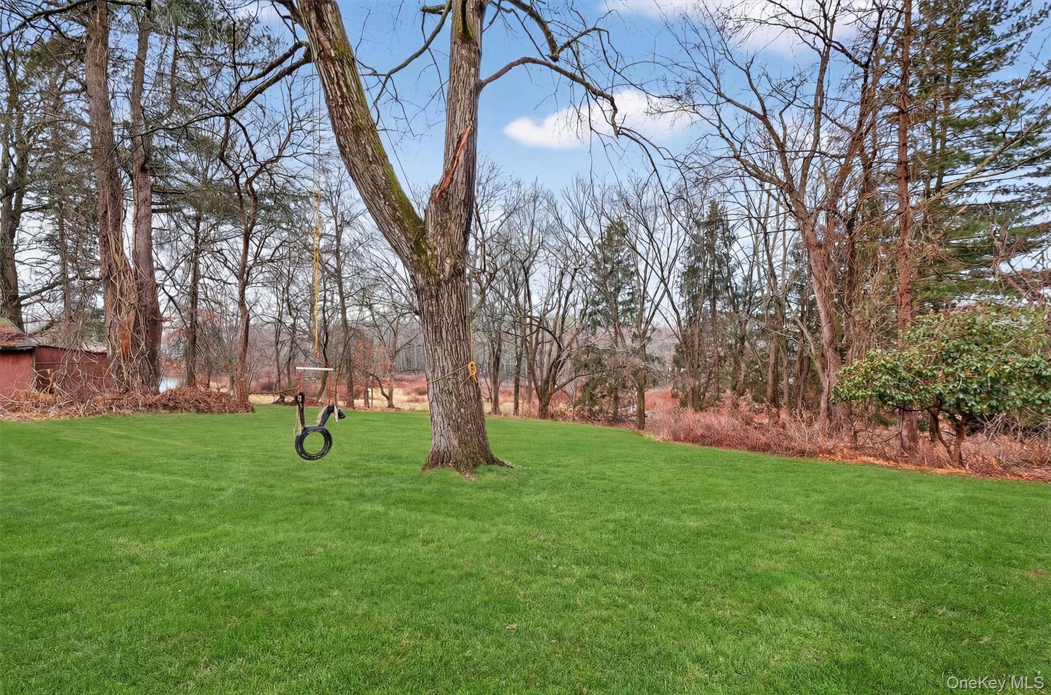 107 Marshall Road Salt Point, NY 12578 - Photo 5 of 26 a view of yard with tree in front of it