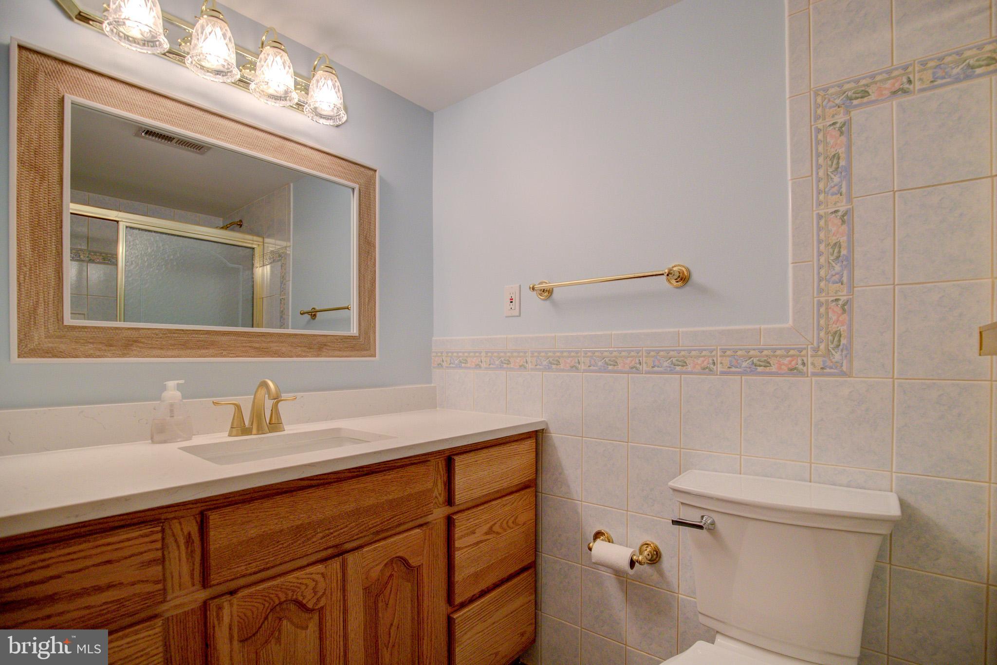 813 Blacks Hill Road Great Falls, VA 22066 - Photo 59 of 92 LL Full Bath