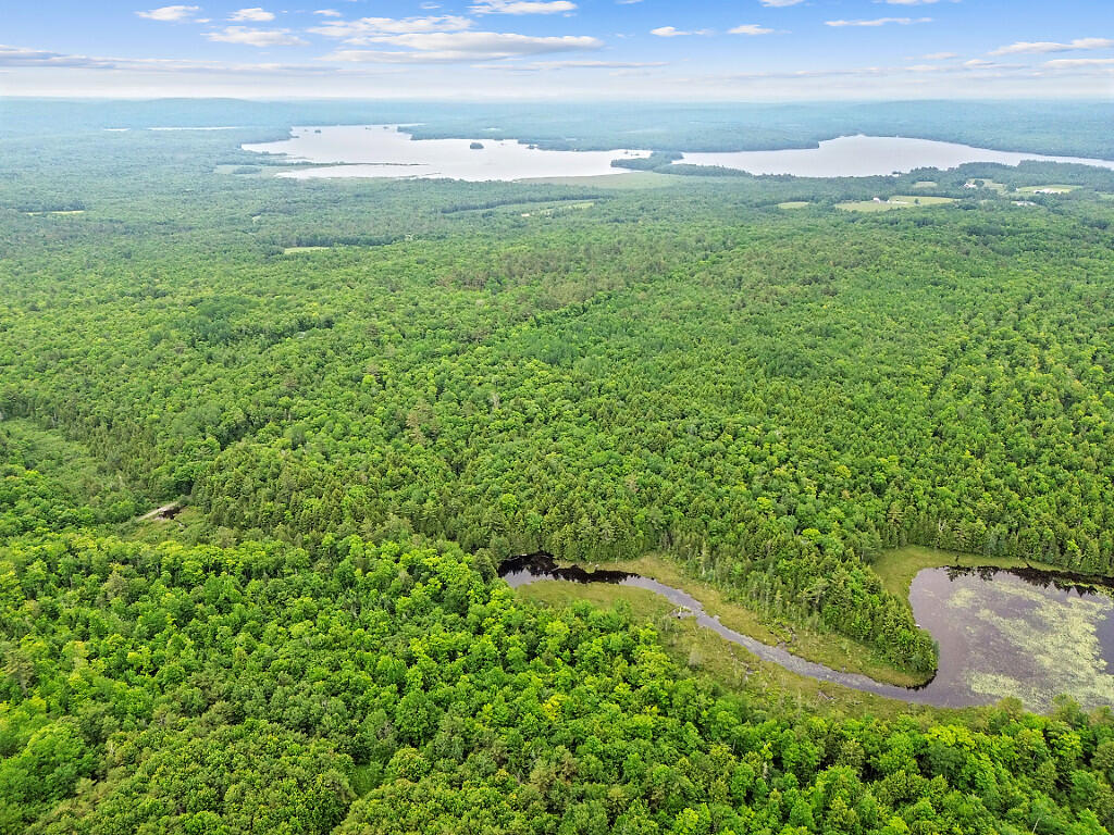 16 Judkins Road Harmony, ME 04942 - Photo 57 of 65 59_DJI_0294_DxO