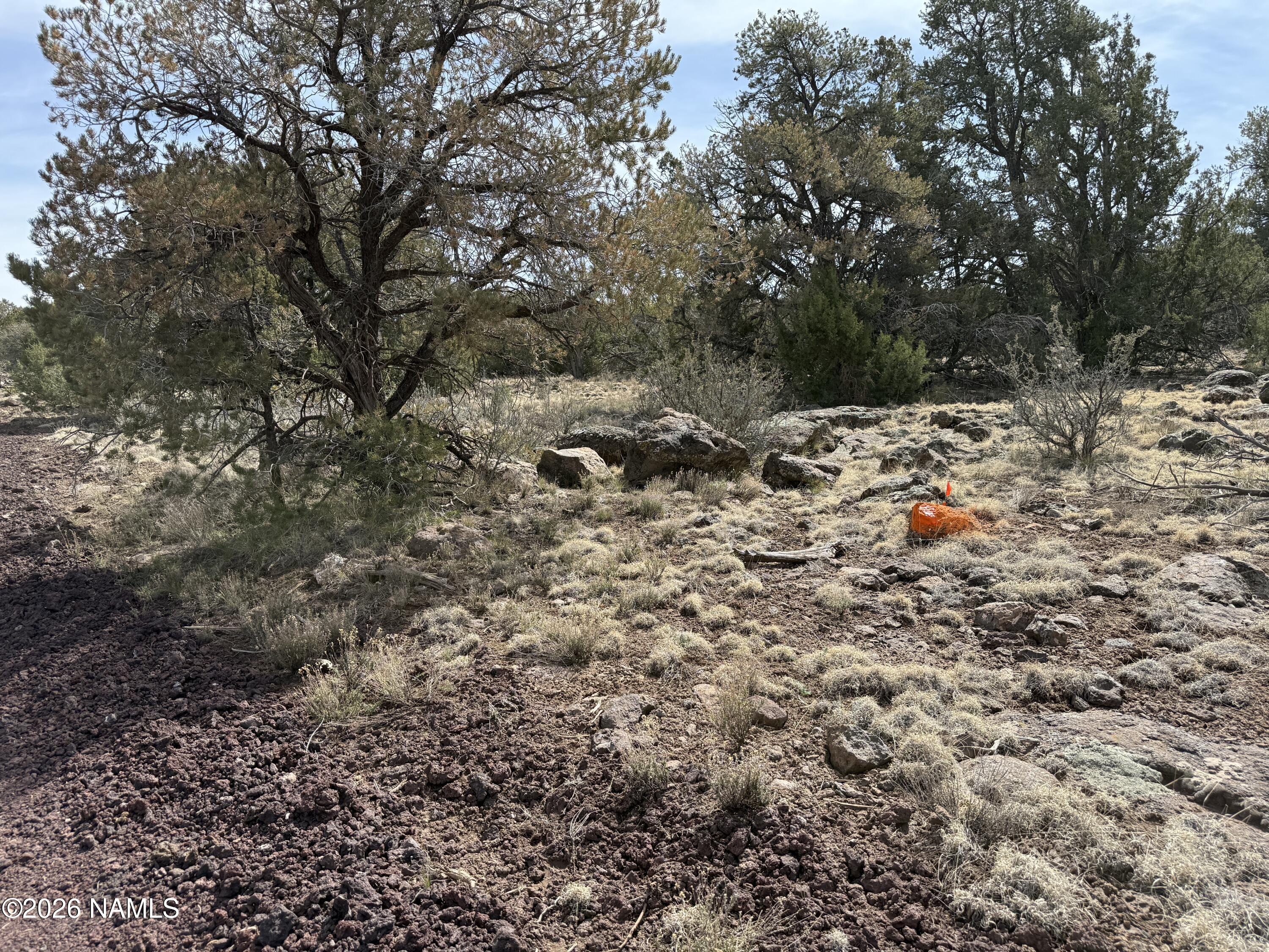 732 East Sidewinder Road Williams, AZ 86046 - Photo 9 of 10 IMG_9814