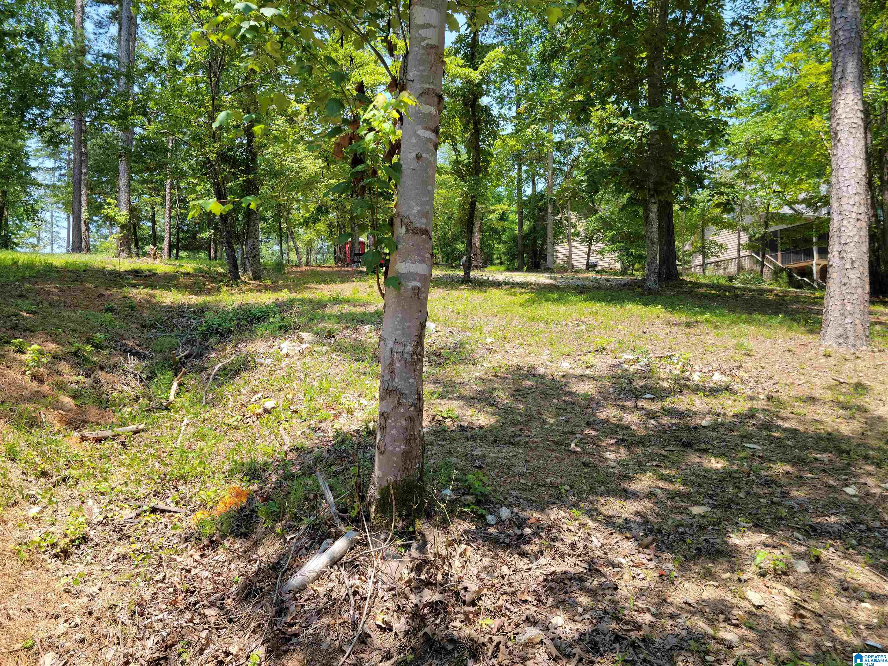 281 Red Cedar, Unit 121 Wedowee, AL 36278 - Photo 9 of 18