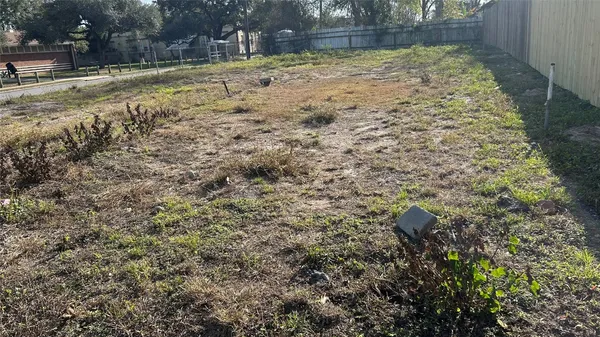 a view of a yard with plants