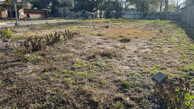 a view of backyard with tree