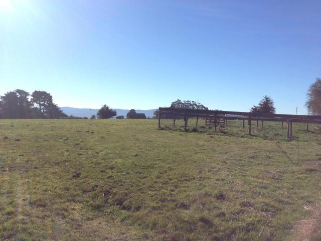 361 Table Bluff Road Loleta, CA 95551 - Photo 13 of 51 20140109162229573860000000-o