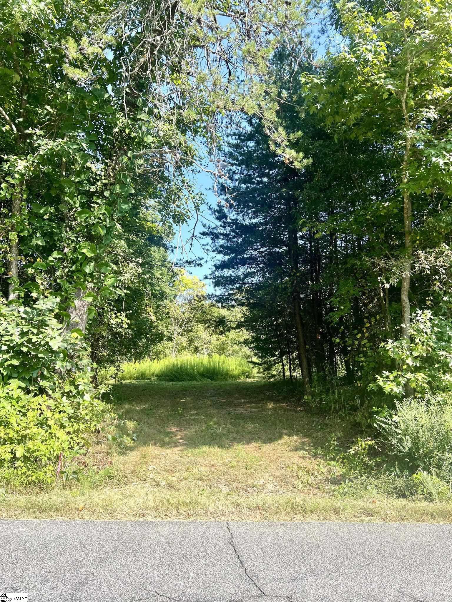 556 Pink Dill Mill Road, Unit TRACT 1 Greer, SC 29651 - Photo 2 of 4