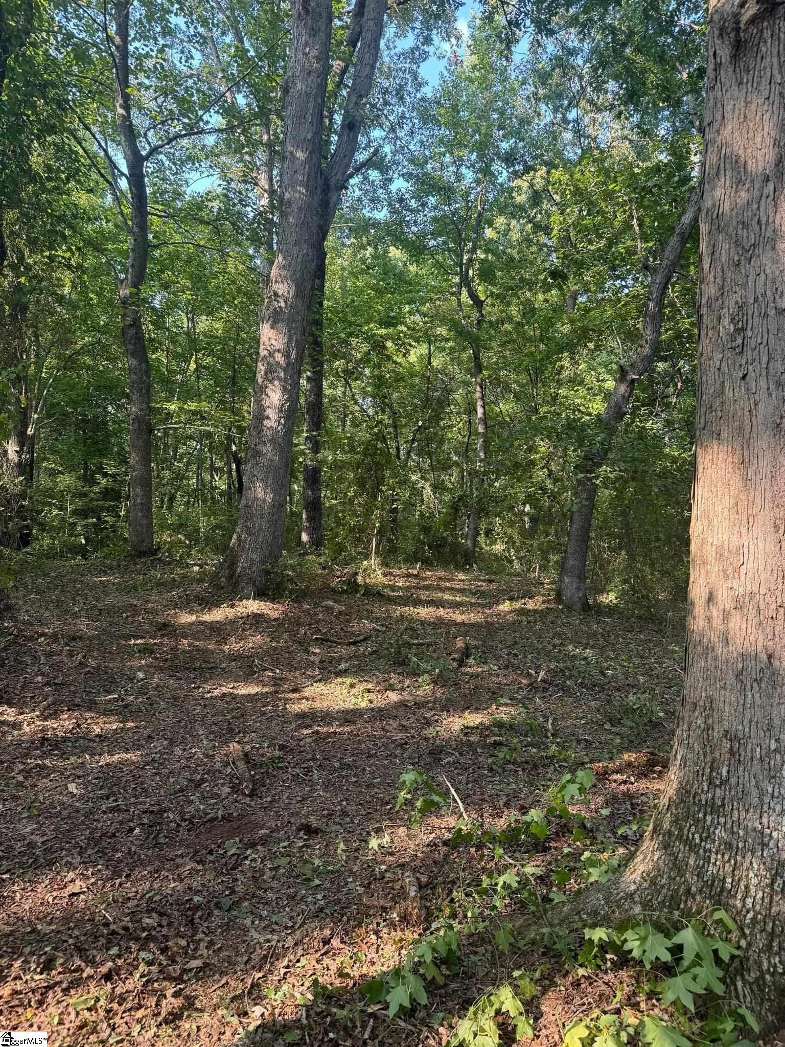 556 Pink Dill Mill Road, Unit TRACT 1 Greer, SC 29651 - Photo 3 of 4