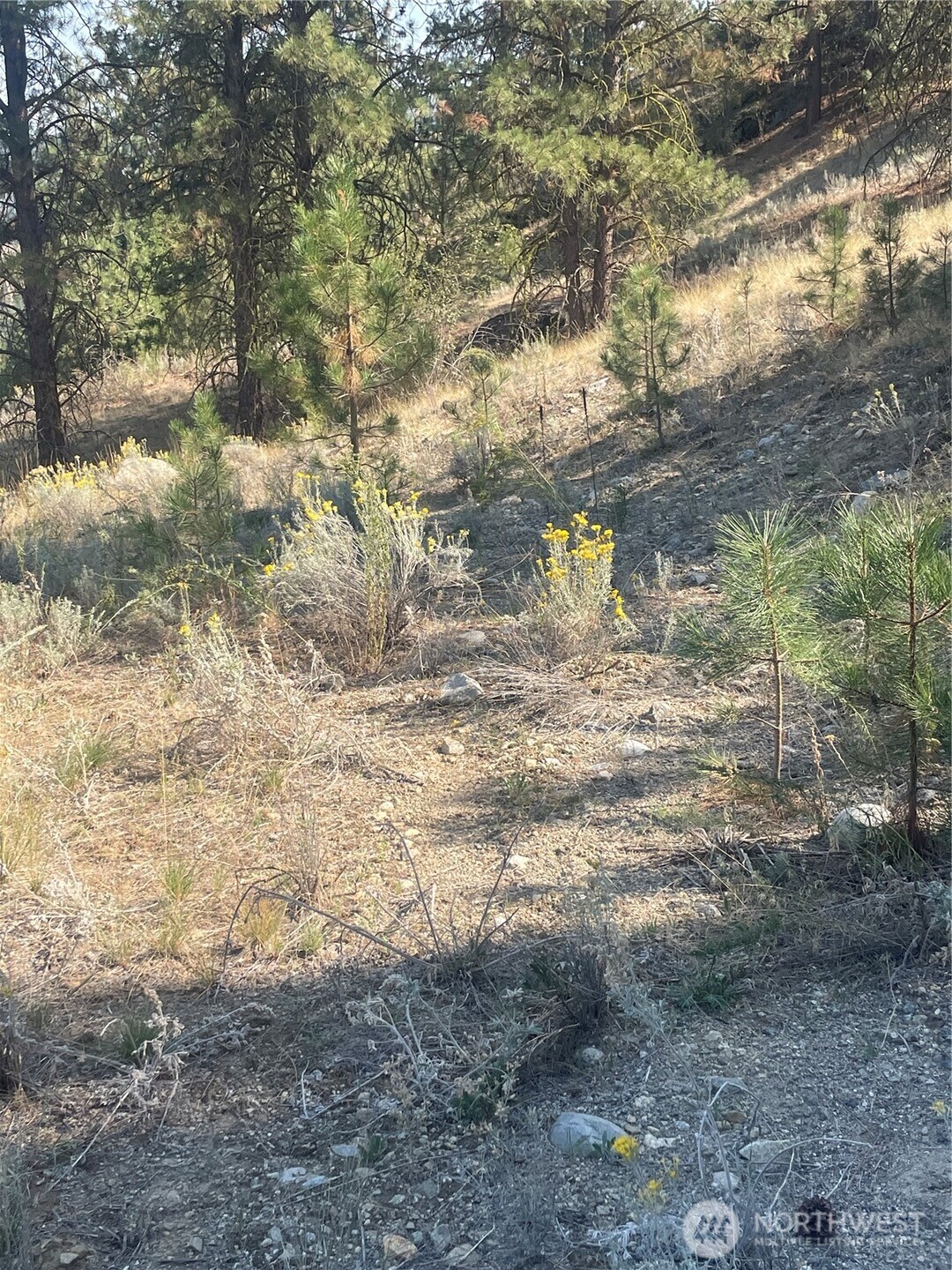 -tbd Reevas Basin Road Tonasket, WA 98855 - Photo 5 of 38