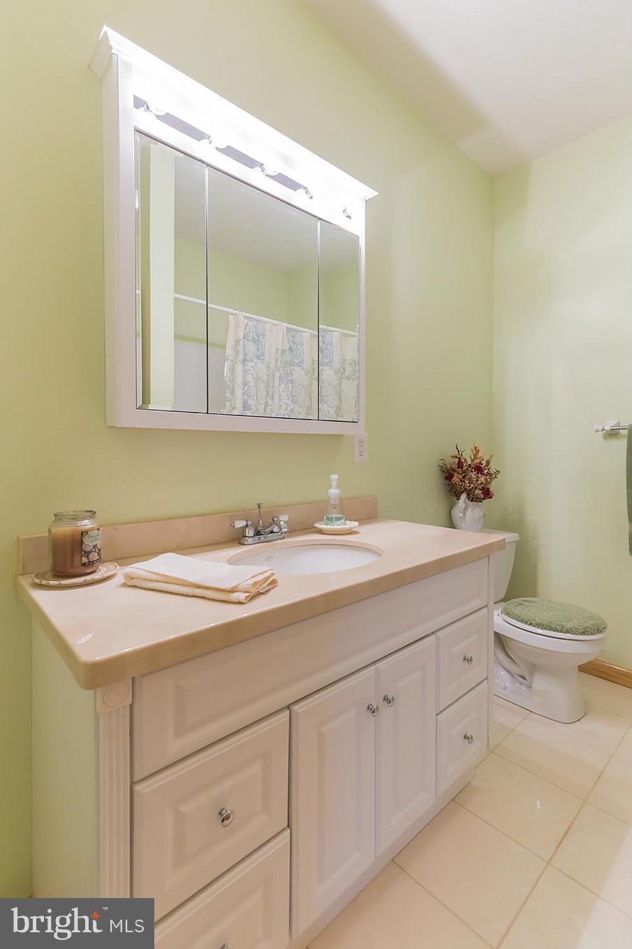 48510 Whitaker Road St. Inigoes, MD 20684 - Photo 22 of 30 a bathroom with a granite countertop sink and a mirror