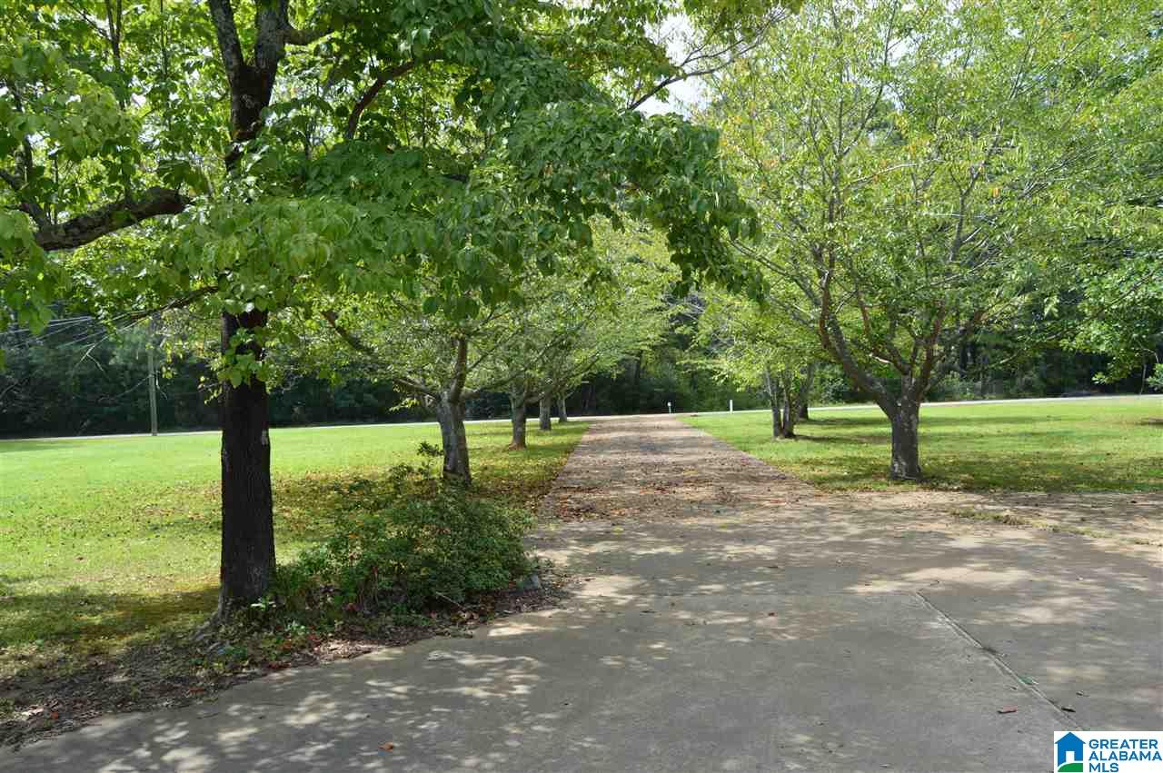 843 Mountain View Road Cordova, AL 35550 - Photo 34 of 37
