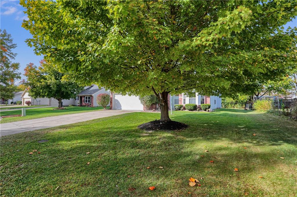 1172 Hopkins Road Indianapolis, IN 46229 - Photo 4 of 40 Gallery Image 4