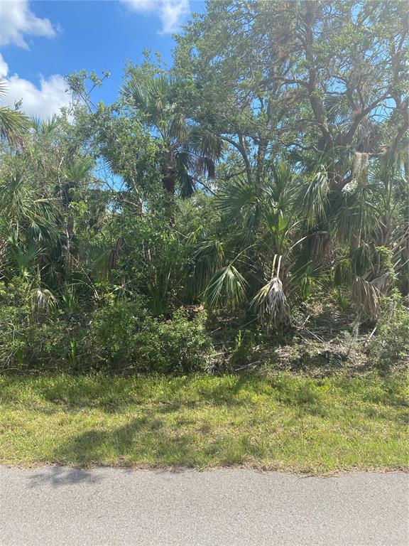 26146 Hapsburg Road Punta Gorda, FL 33955 - Photo 1 of 1 Gallery Image 1