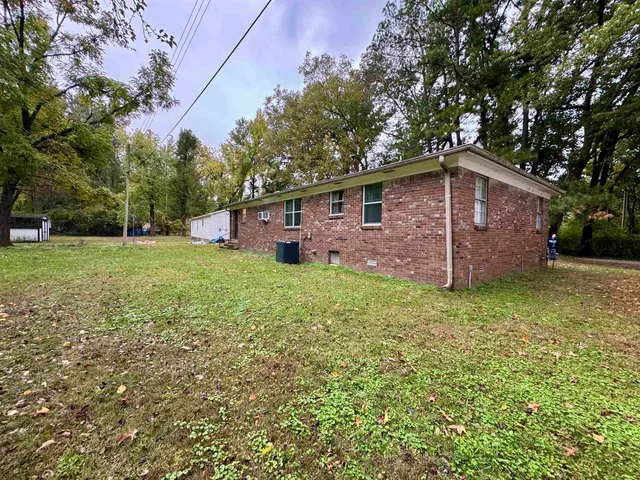a view of a field with a tree