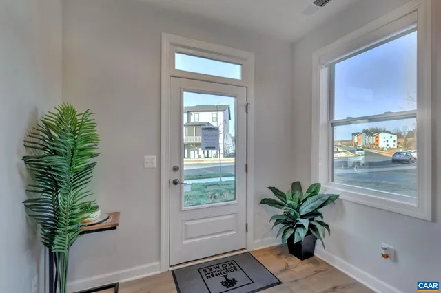 a potted plant sitting in front of a window