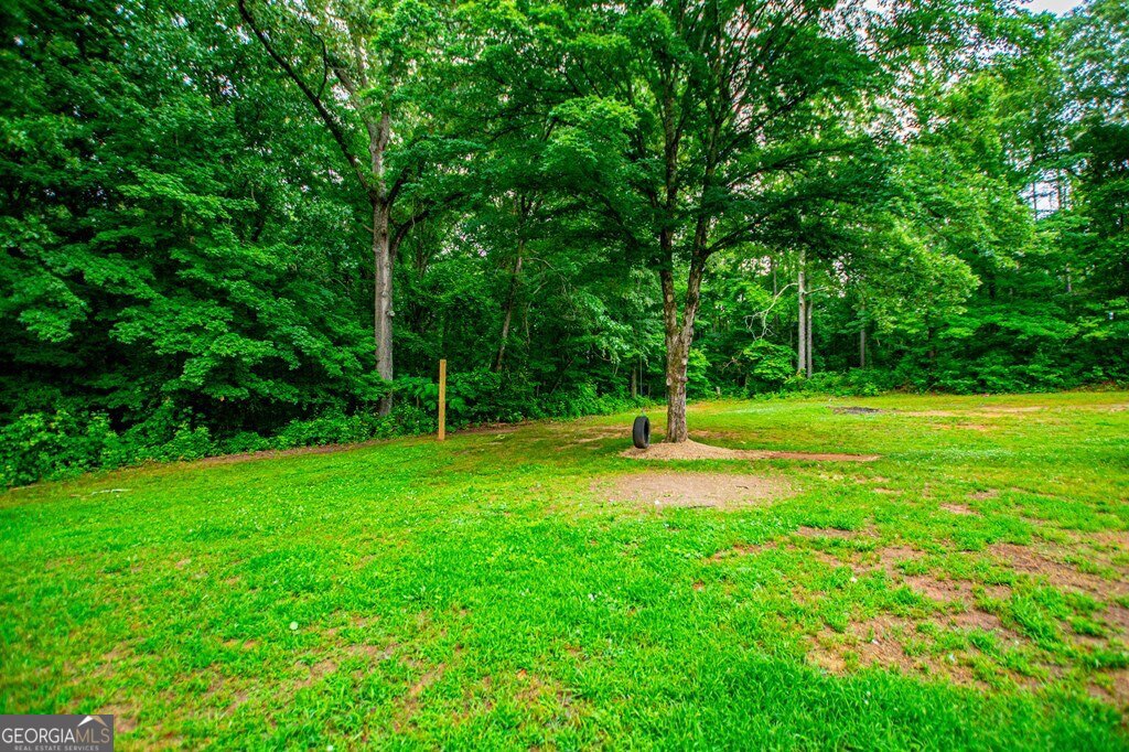 61 Davenport Mill Road Carrollton, GA 30117 - Photo 47 of 62