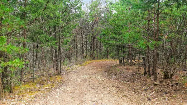 $100,000 | Windy Cove Way, Sevierville, TN 37876