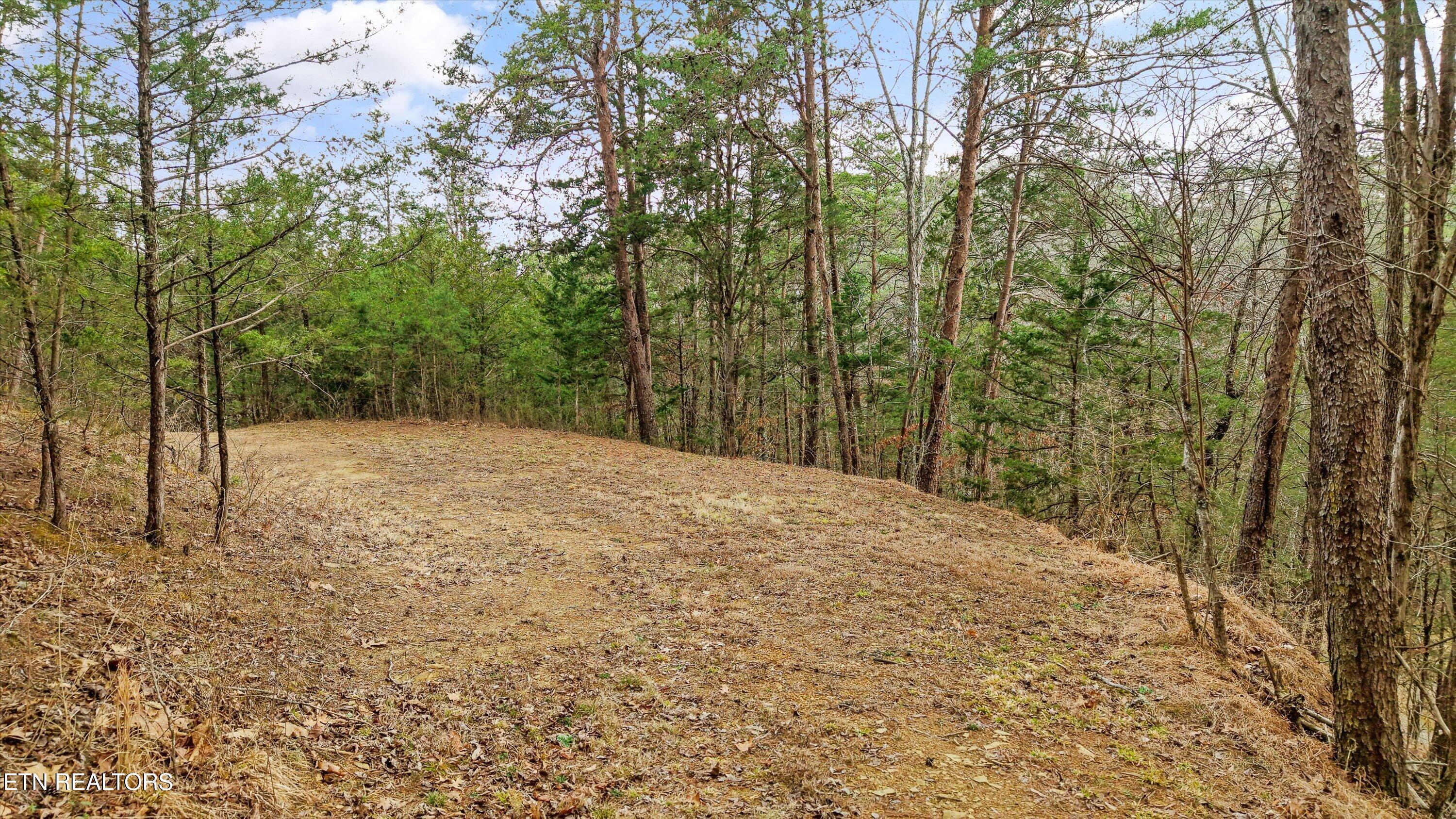 Windy Cove Way Sevierville, TN 37876 - Photo 6 of 7 48-2739 Windy Cove Way-48