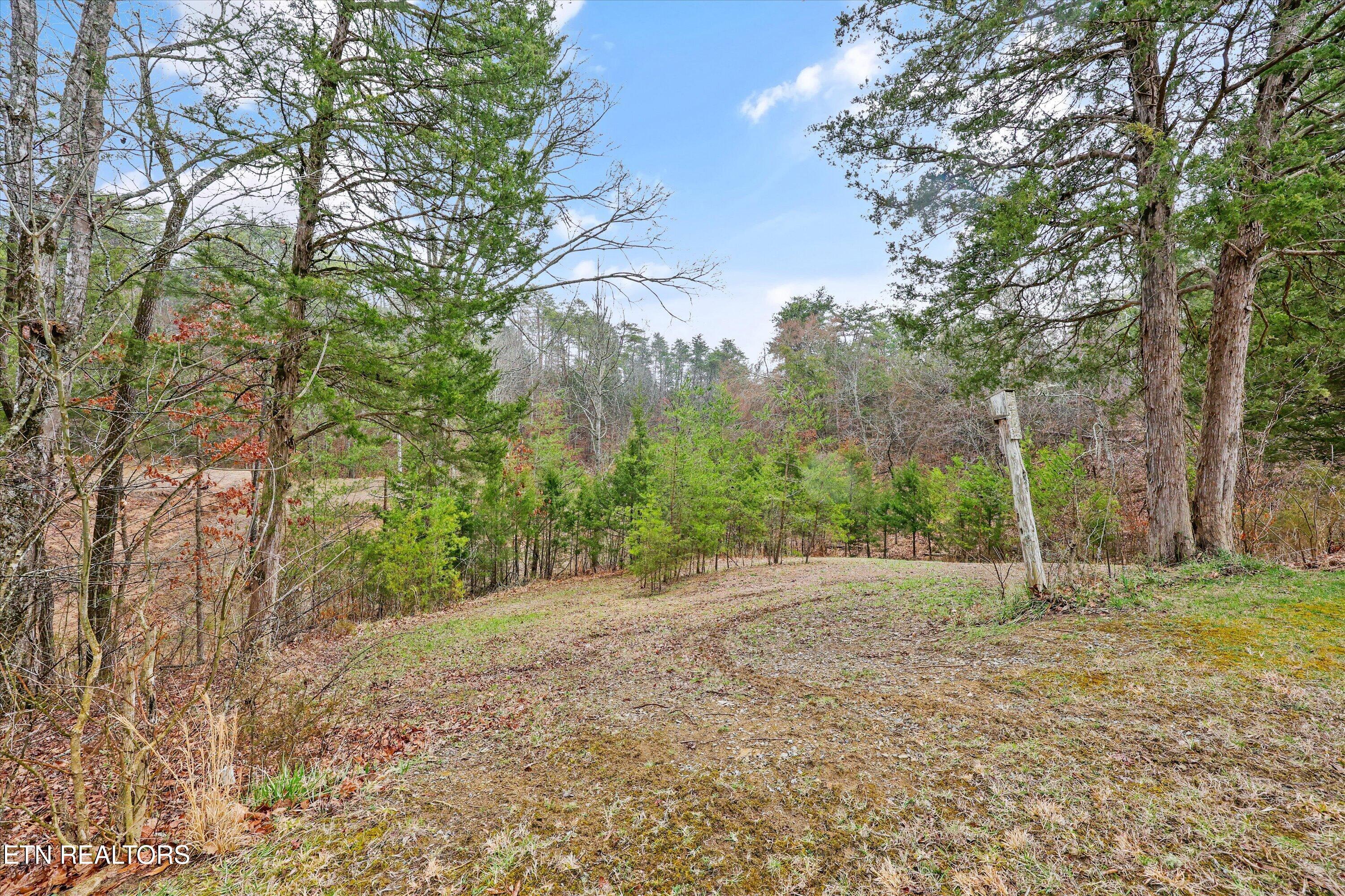 Windy Cove Way Sevierville, TN 37876 - Photo 7 of 7 49-2739 Windy Cove Way-49