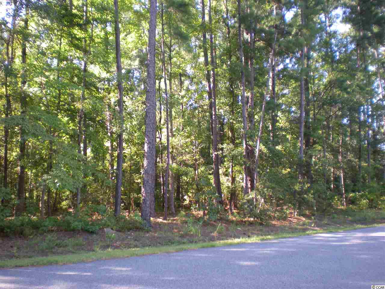 1102 Francis Parker Road Georgetown, SC 29440 - Photo 1 of 6 Gallery Image 1