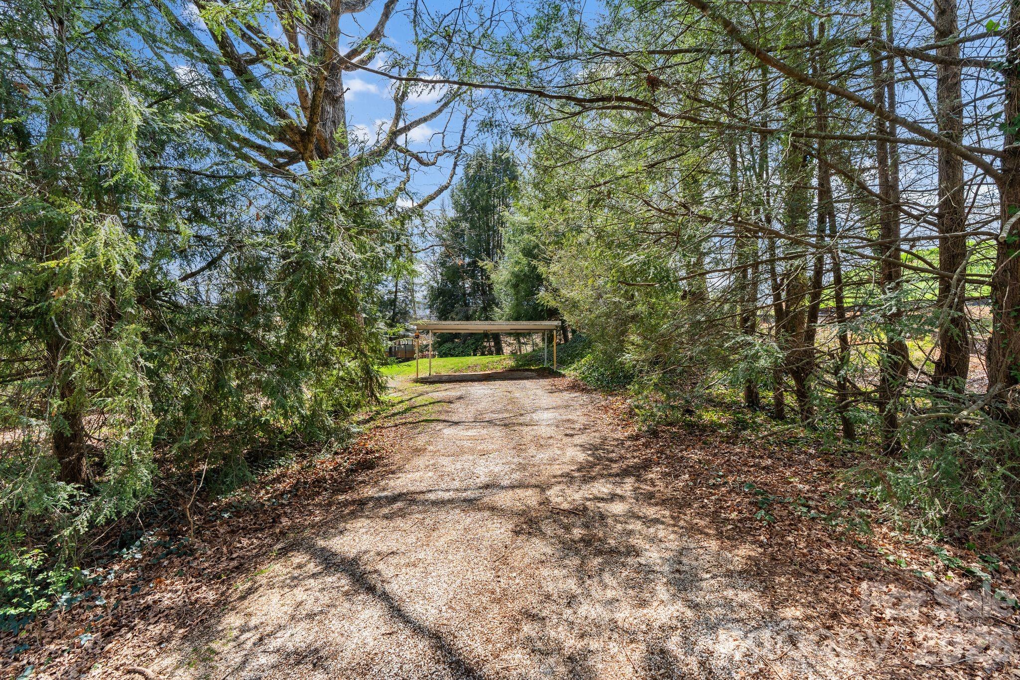 7 Acton Woods Road Candler, NC 28715 - Photo 7 of 23